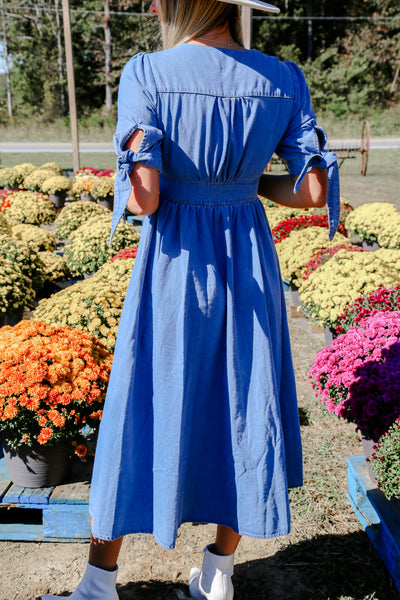 Countryside Cutie Denim Maxi Dress