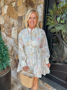 Wish Upon A Dream Floral Embroidered Mini Dress